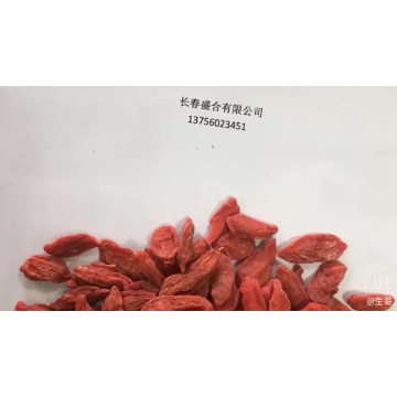 Factory priceBerry Goji Dried Goji Berries